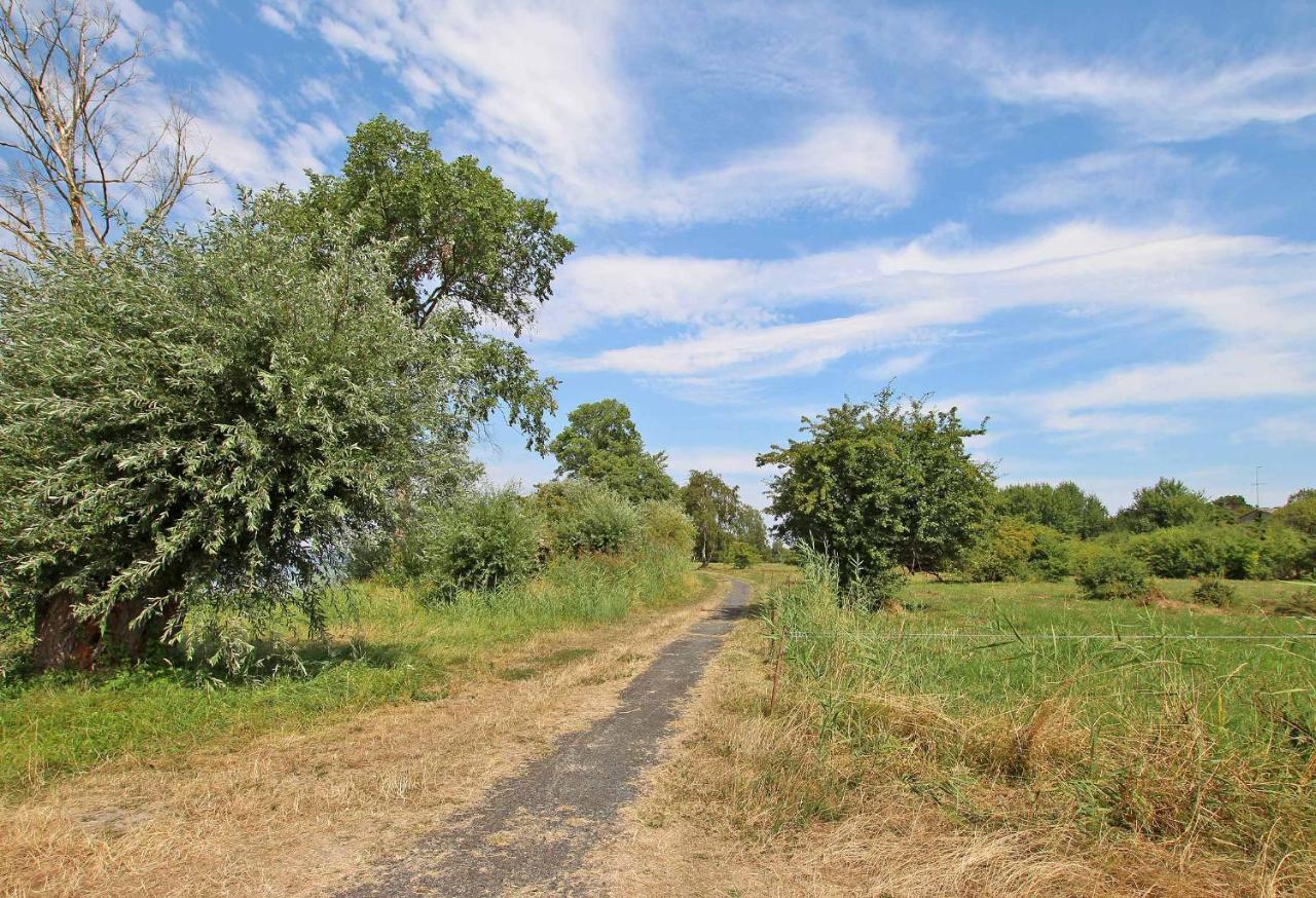 Ferienhof Rechlin See 2030 Kültér fotó